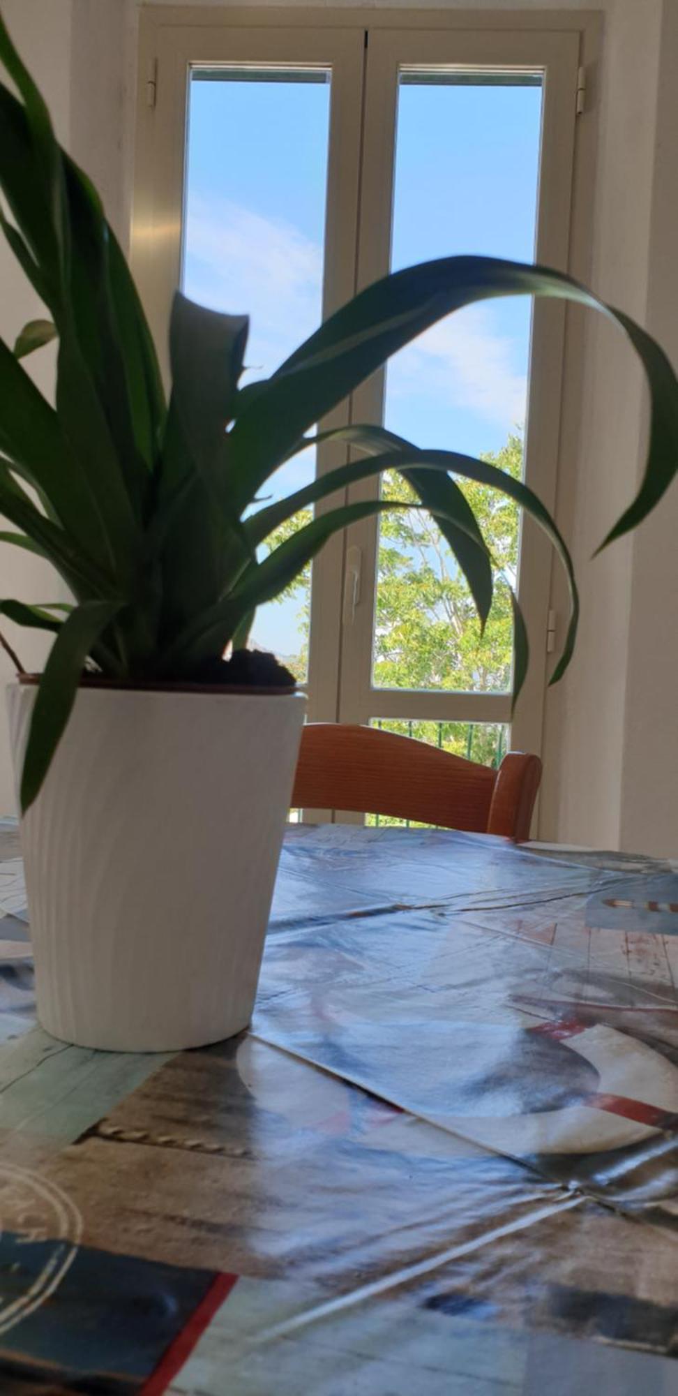 Casa Maddi Casa Vacanze Con Vista Mare Vicinissima Al Centro Каполивери Екстериор снимка